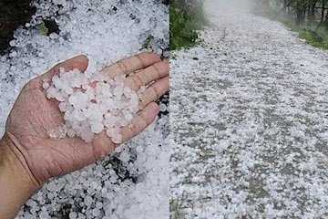 ਪੰਜਾਬ ਦੇ ਭਾਰੀ ਮੀਂਹ ਅਤੇ ਗੜ੍ਹੇਮਾਰੀ ਕਾਰਨ ਕਈ ਜ਼ਿਲ੍ਹਿਆਂ ‘ਚ ਵਿਗੜੇ ਹਾਲਾਤ…